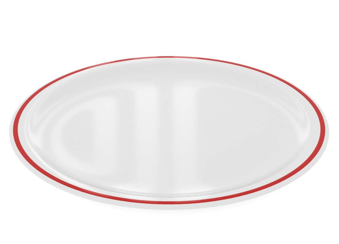 25cm Decorative Large Main Course Plate Institutional Tableware